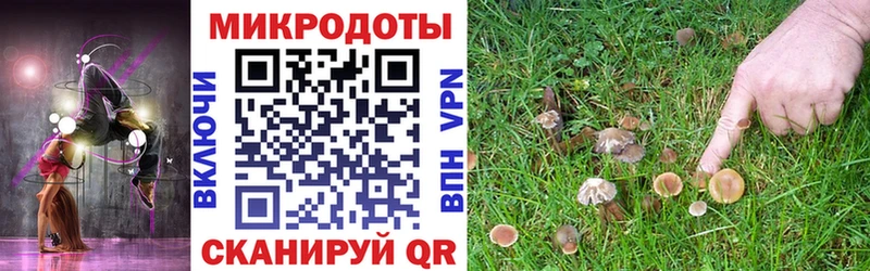 Купить закладки  Южно-Сахалинск  Галлюциногенные грибы мухоморы 
