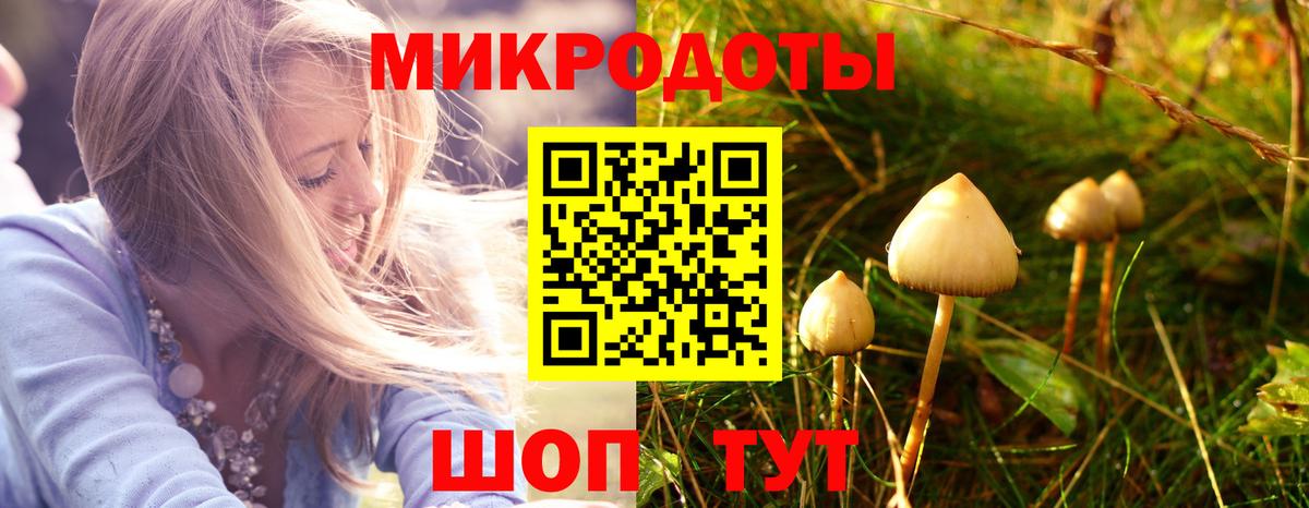 Галлюциногенные грибы GOLDEN TEACHER Южно-Сахалинск